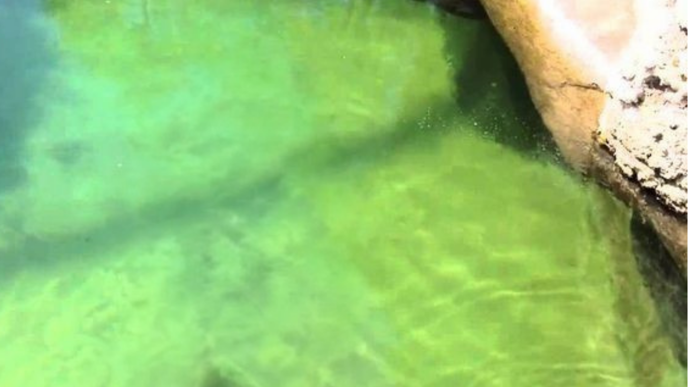 Water background
